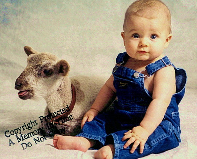babyportfolio.jpg